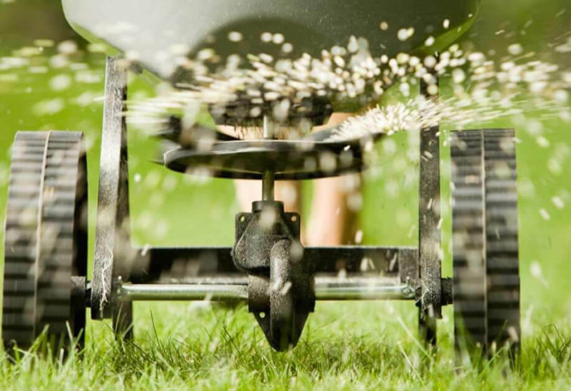 The Ultimate Guide to Lawn Watering: Techniques and Best Practices